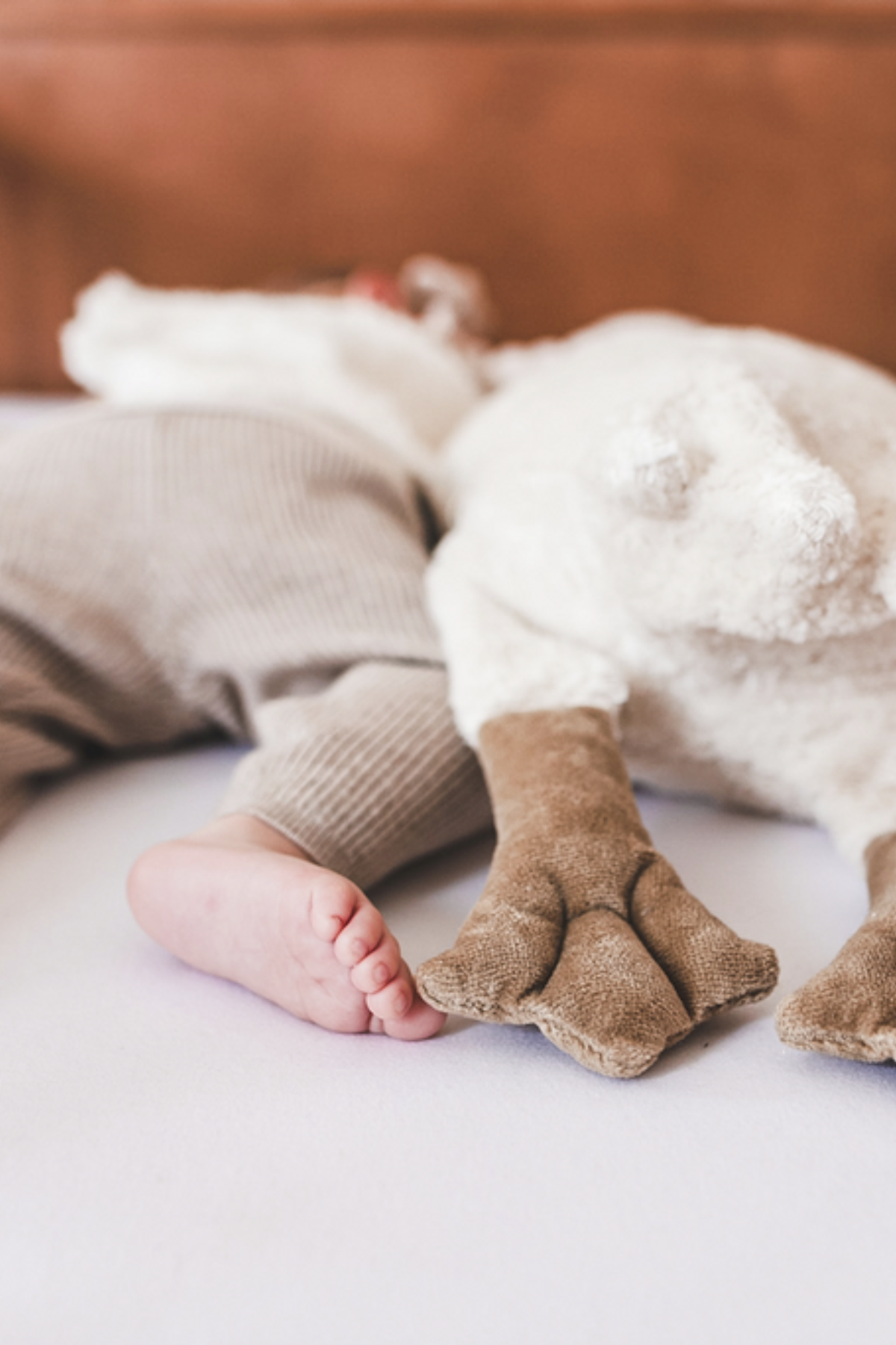 Kuscheltier/ Wärmekissen "Gans" groß | weiß