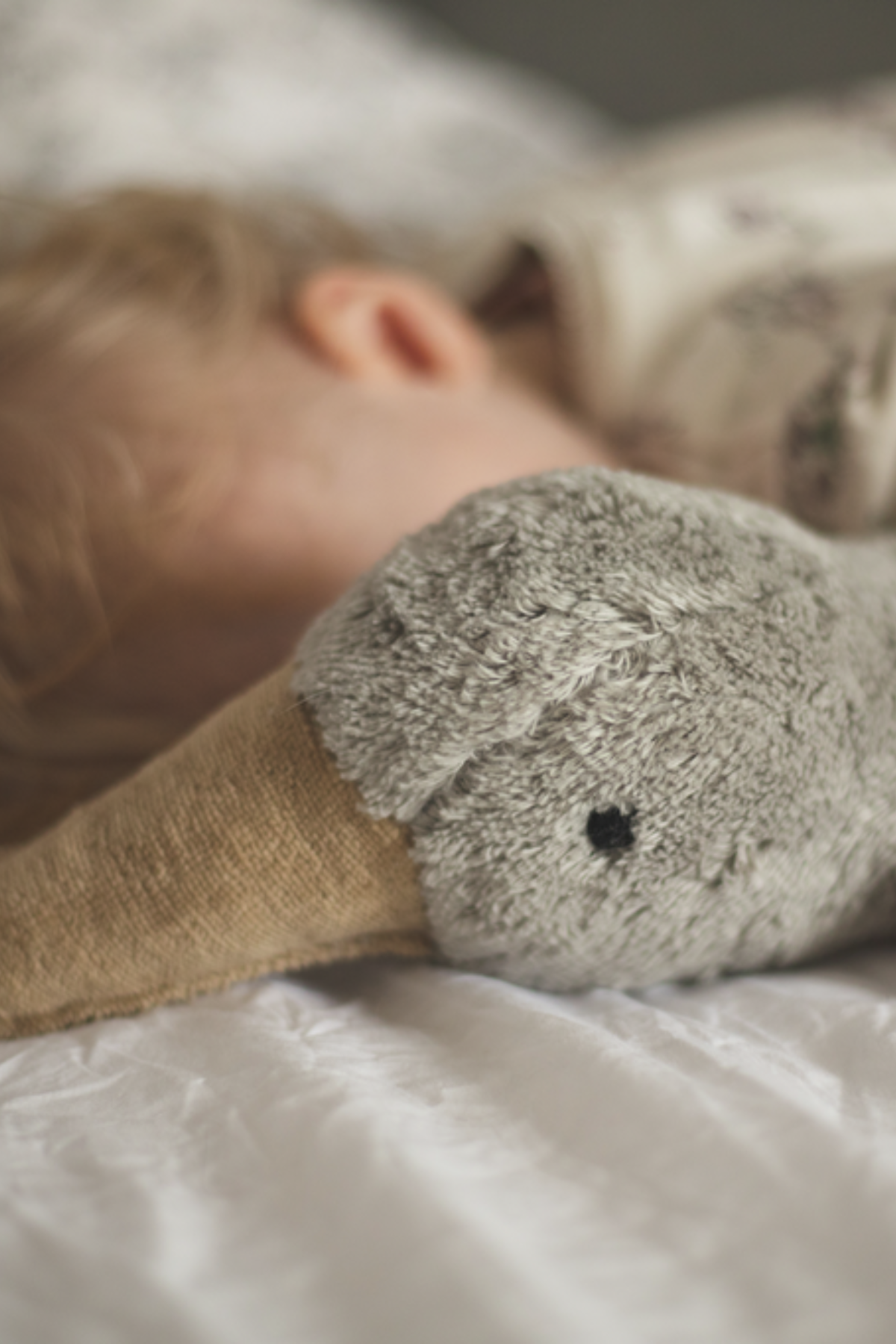 Kuscheltier/ Wärmekissen "Gans" groß | grau