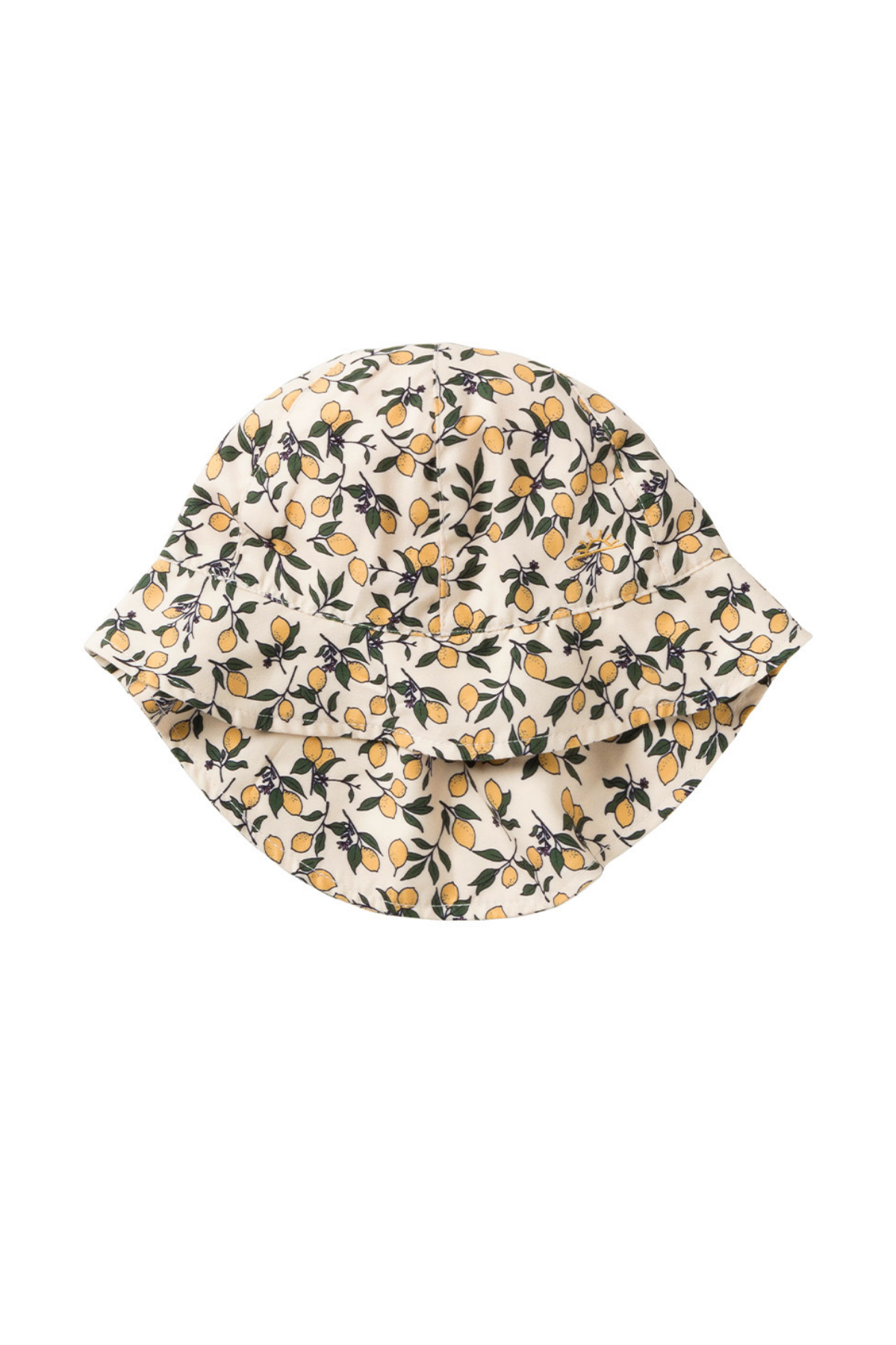 Sonnenhut "Lemons" | Shortbread