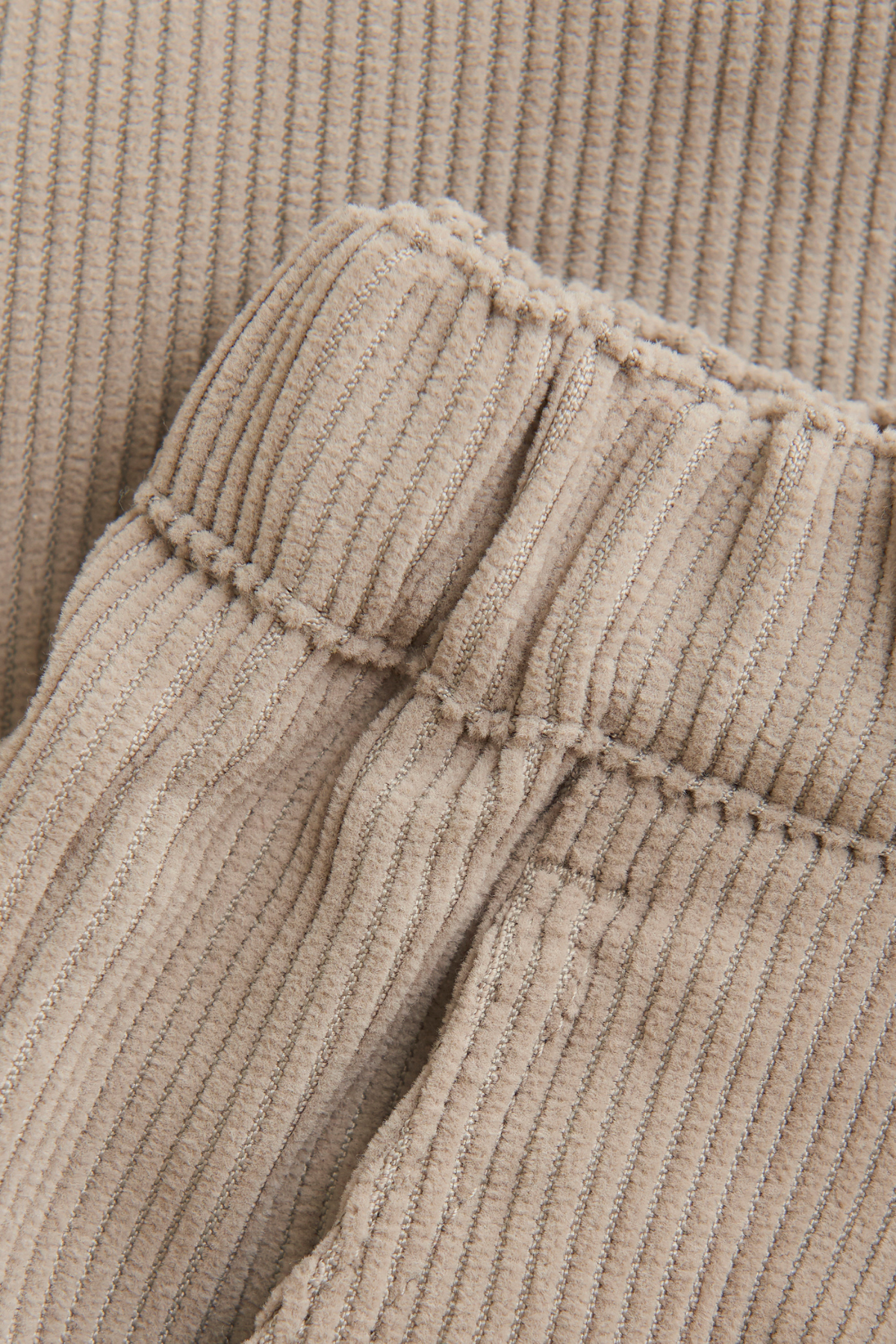 Cordhose | Fungi