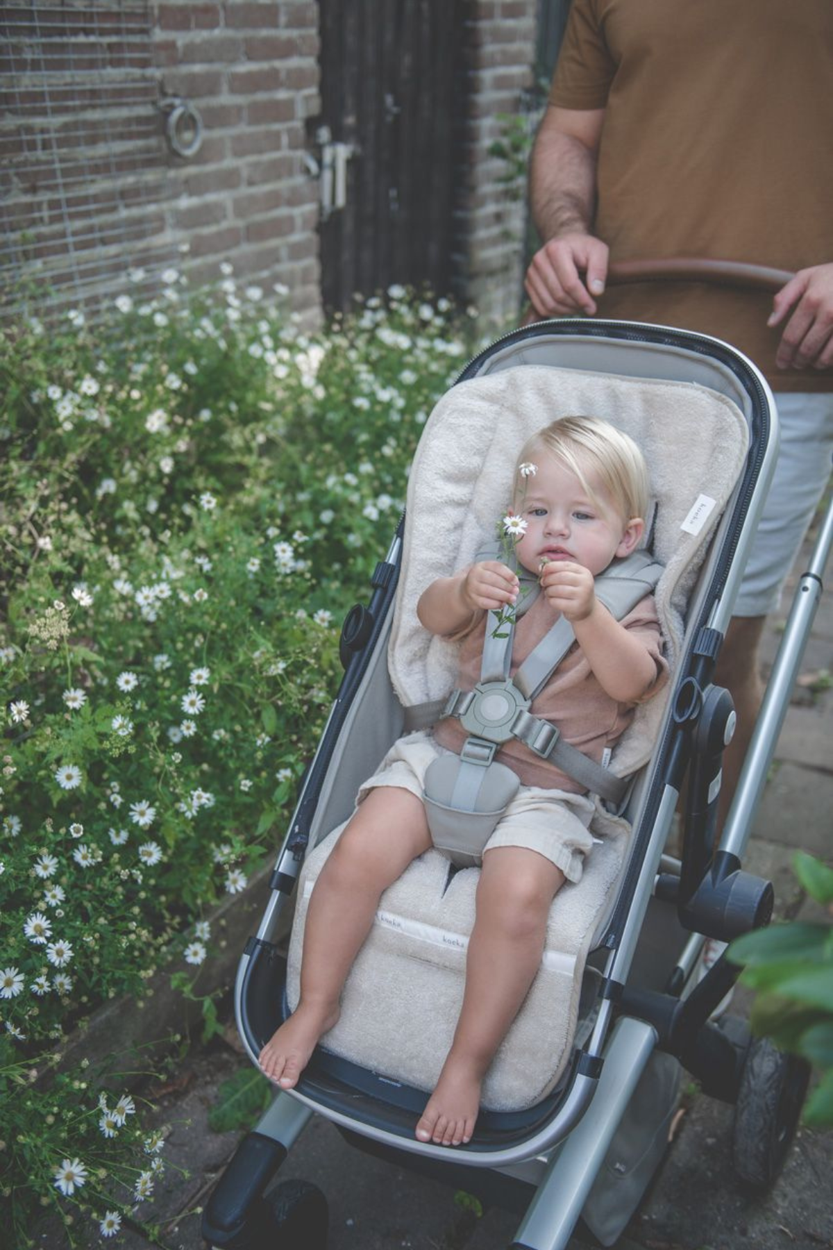 Buggy Einlage "Dijon Daily" | verschiedene Farben