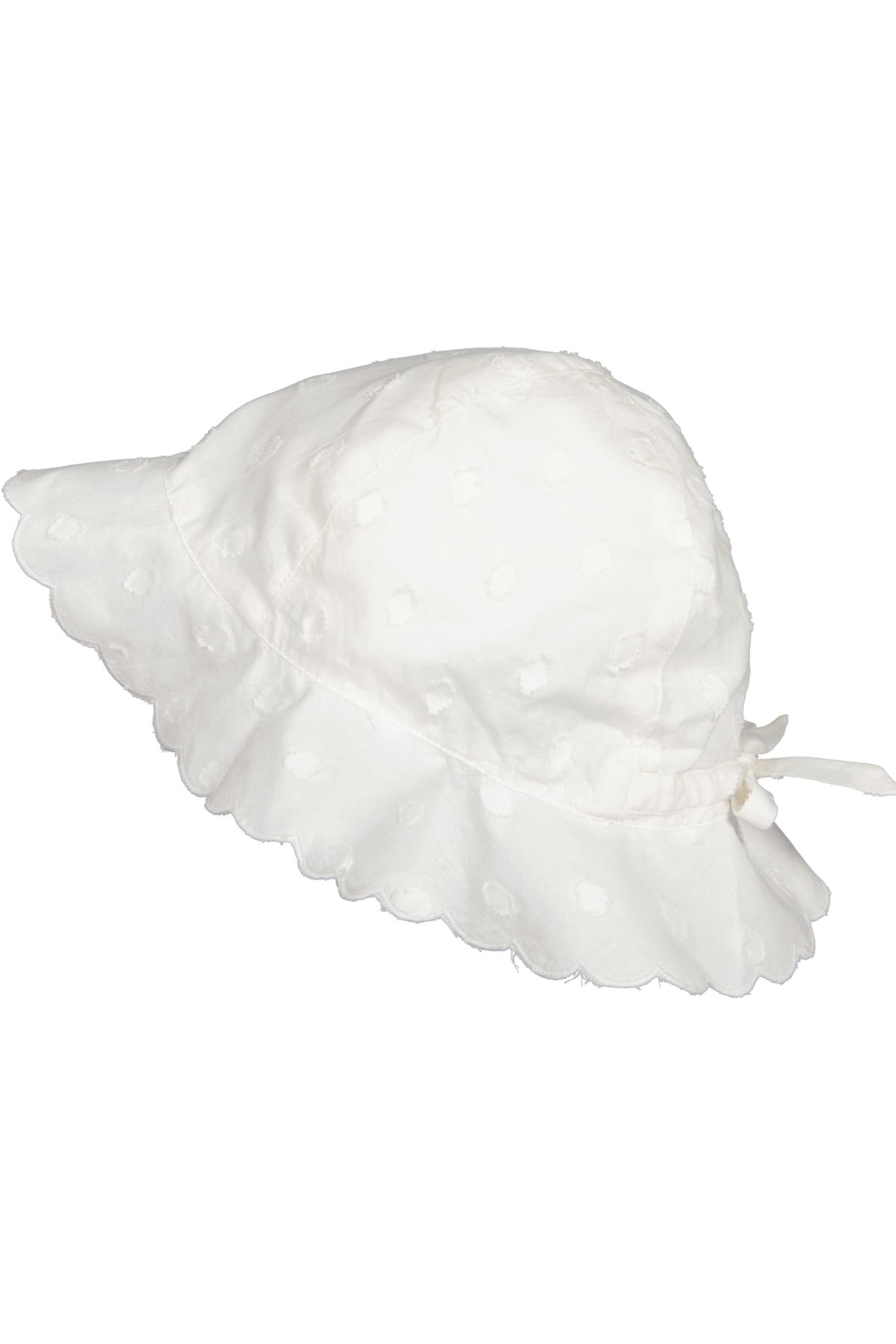 Sonnenhut "Alba" | Gentle White