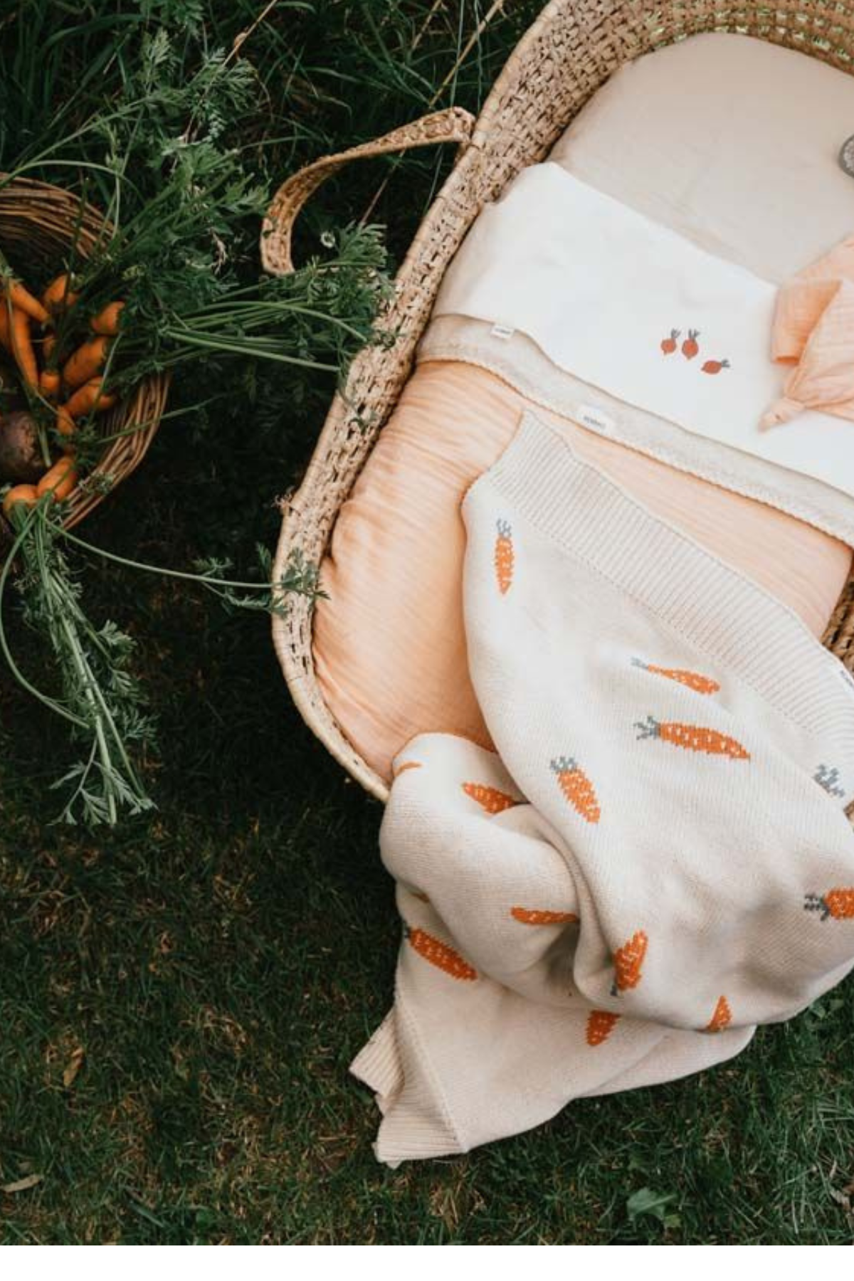 Decke "I carrot a lot" | milky