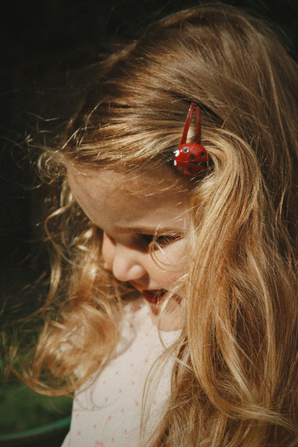 4er-Set Haarspangen | Ladybug