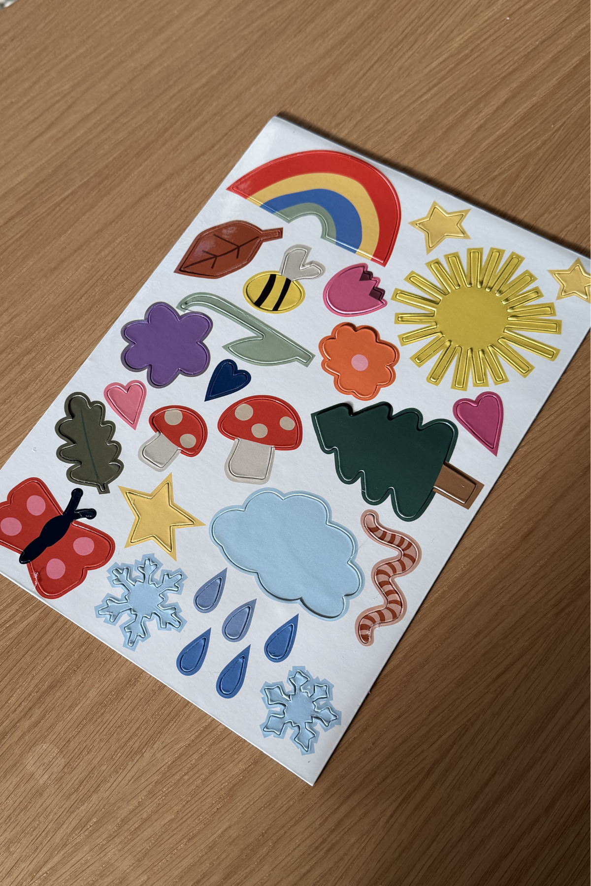 Magnet-Set "Magna Nature"