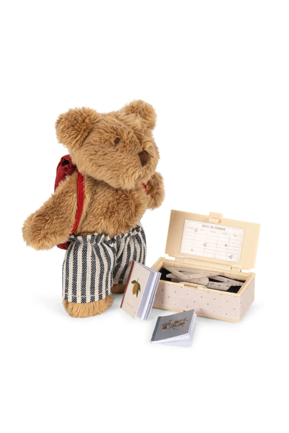 Tiny Teddy "Back to School" | Multi