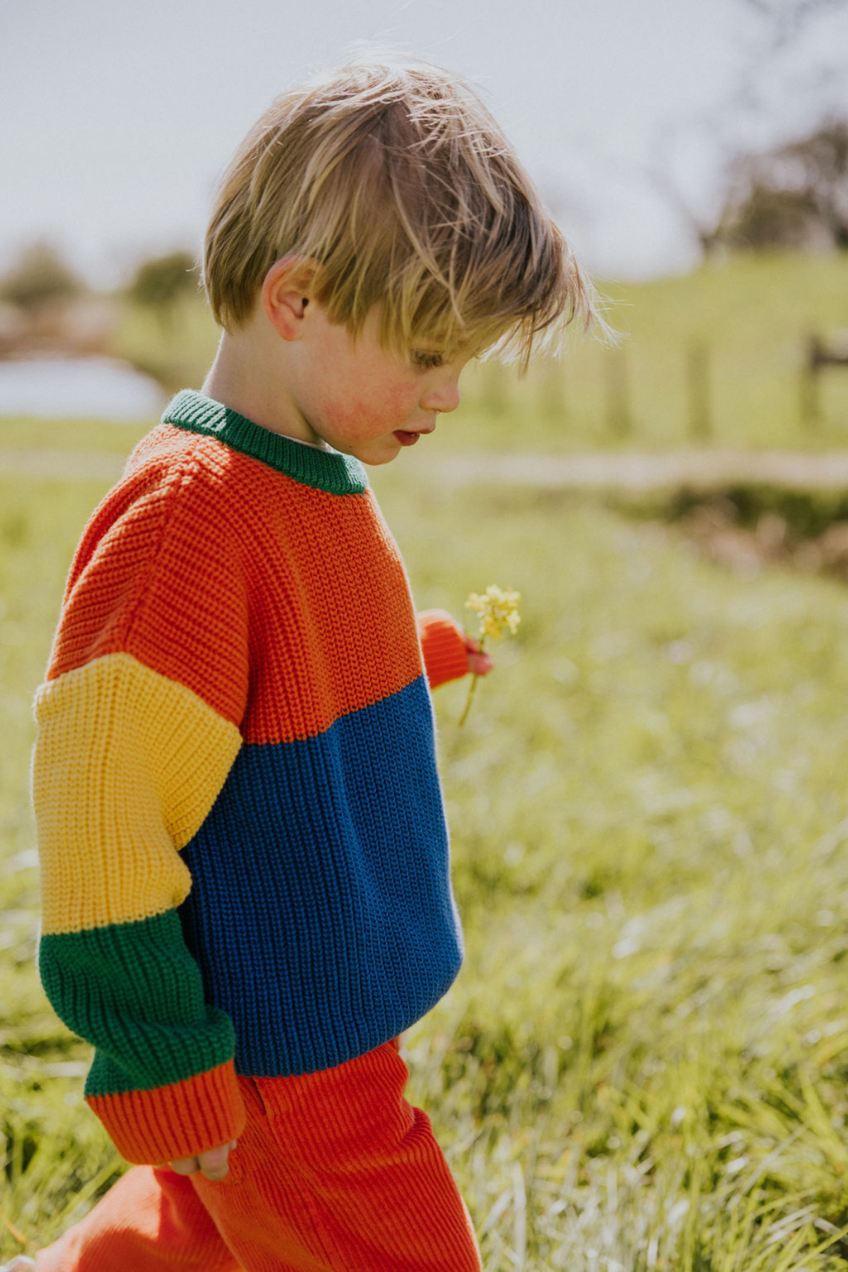 Color Block Sweater | verschiedene Farben