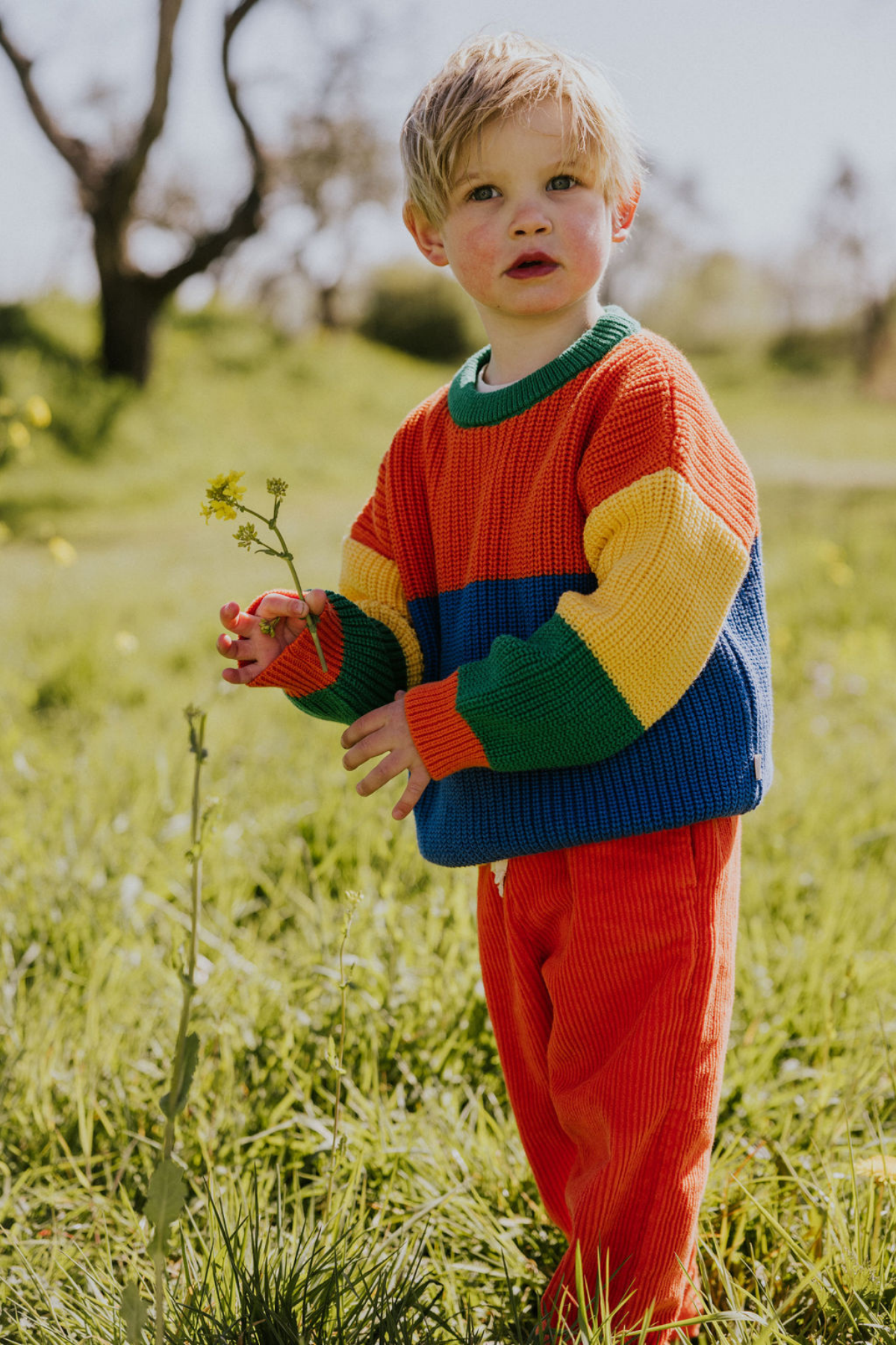 Color Block Sweater | verschiedene Farben