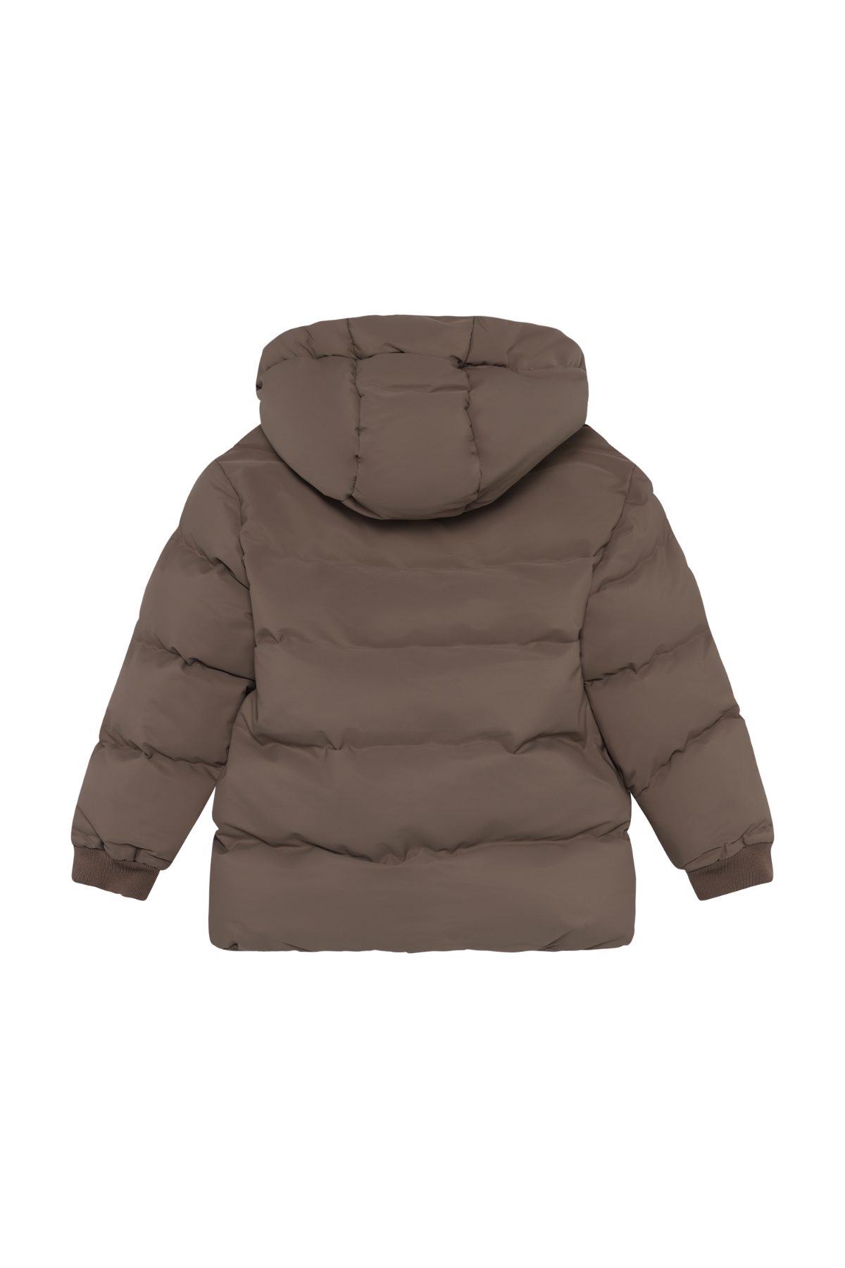 Winterjacke - wasserdicht & atmungsaktiv | verschiedene Farben