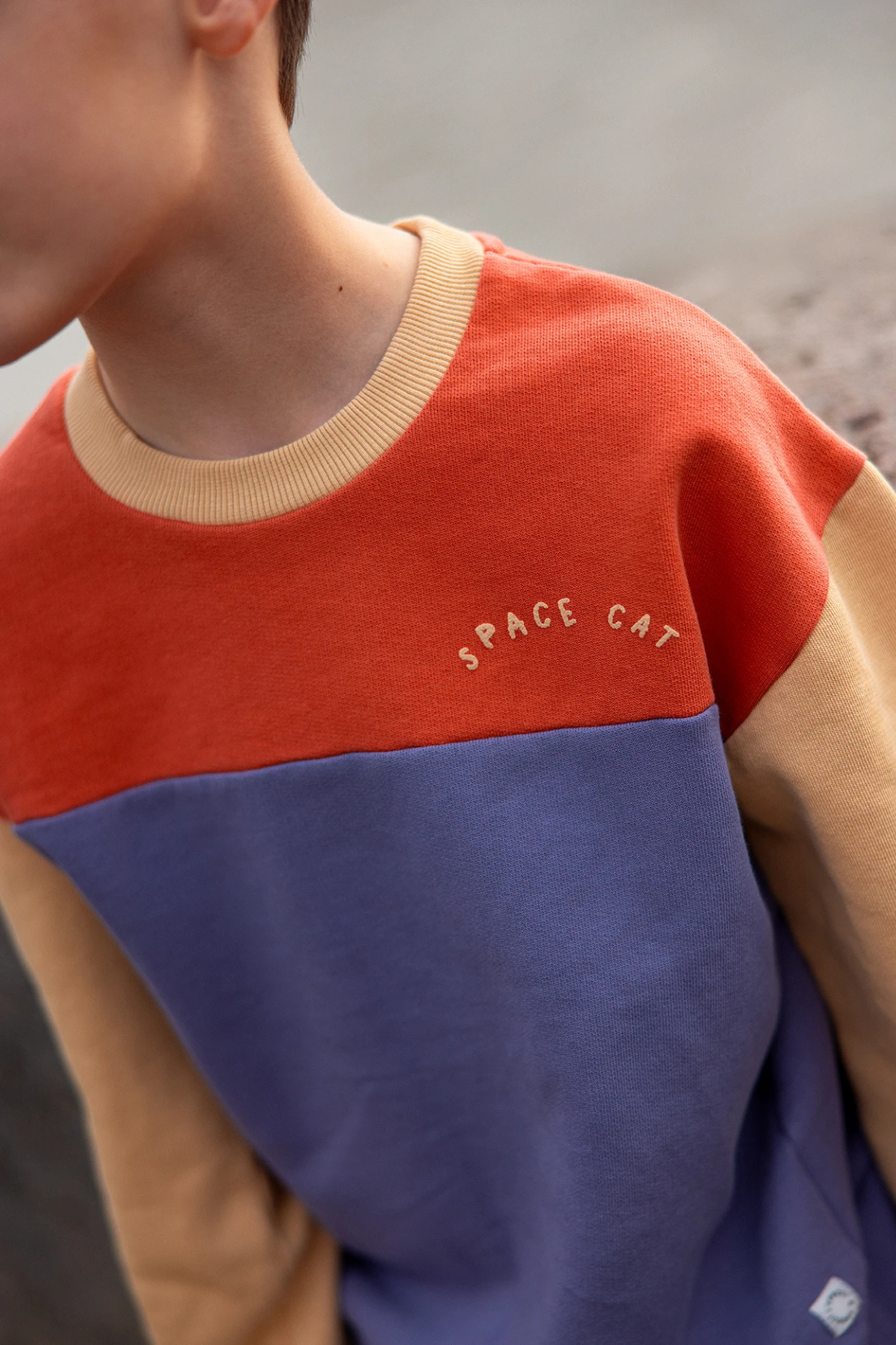 Sweatshirt “Colourblock"
