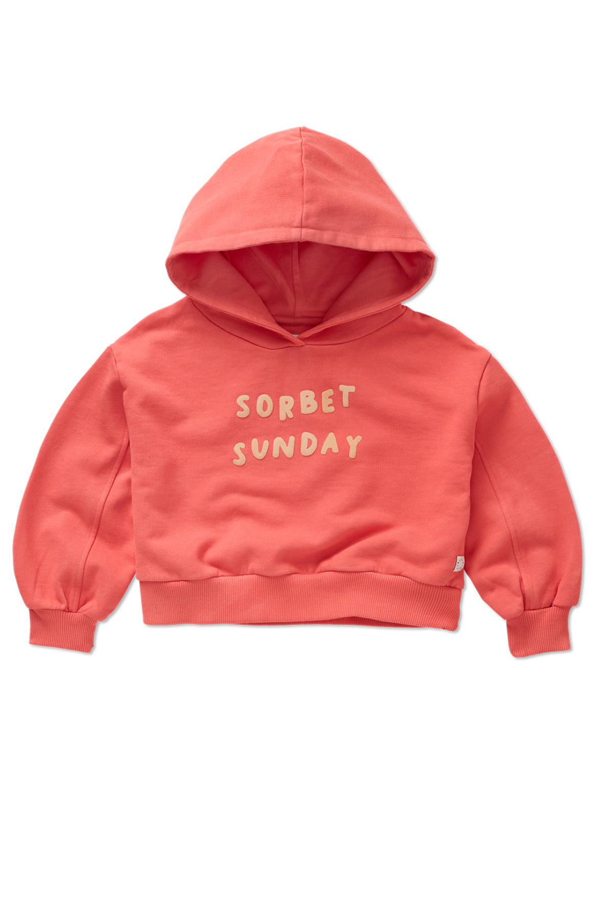 Cropped Sweatshirt “Sorbet Sunday”