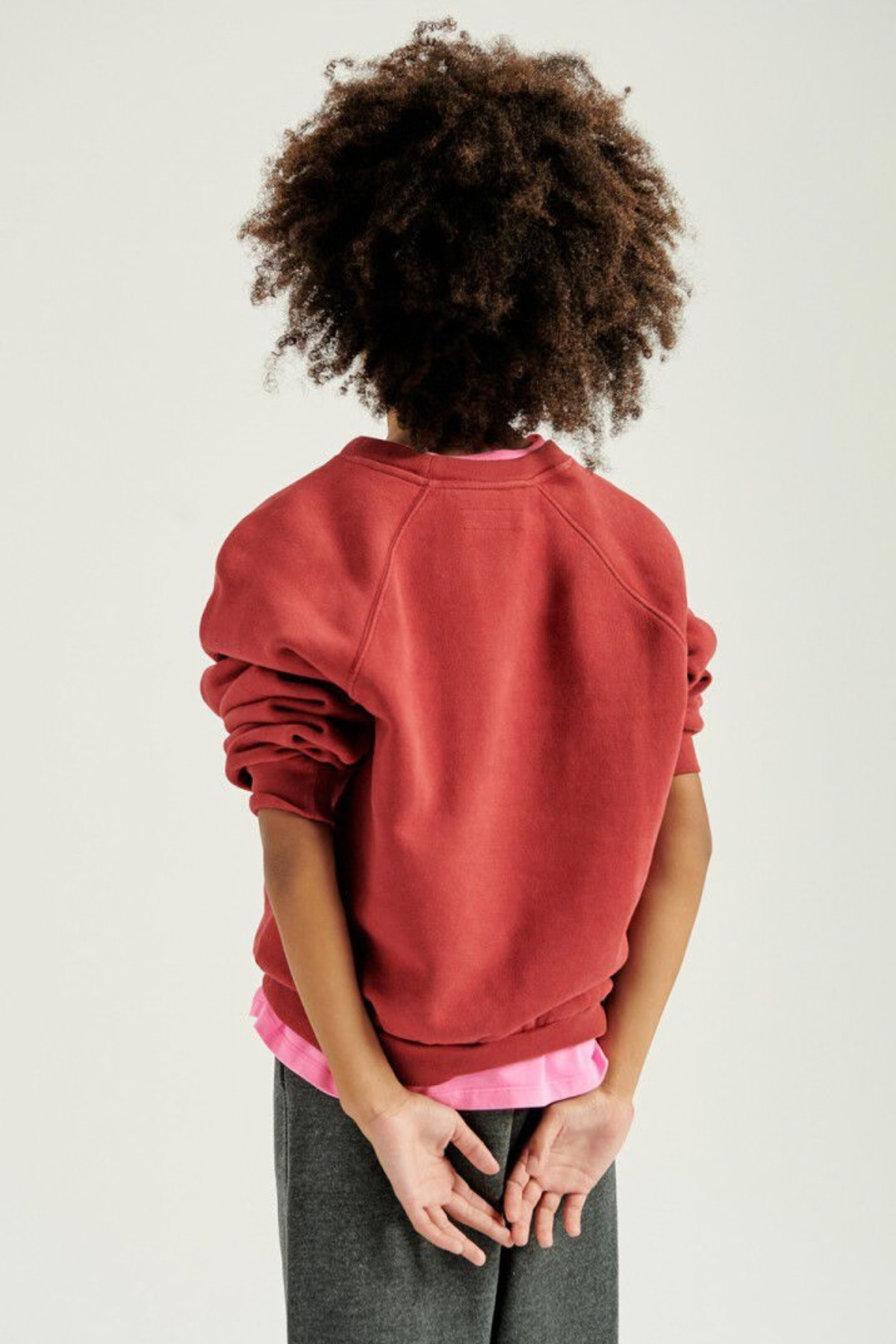 Sweatshirt "Izubird" | verschiedene Farben