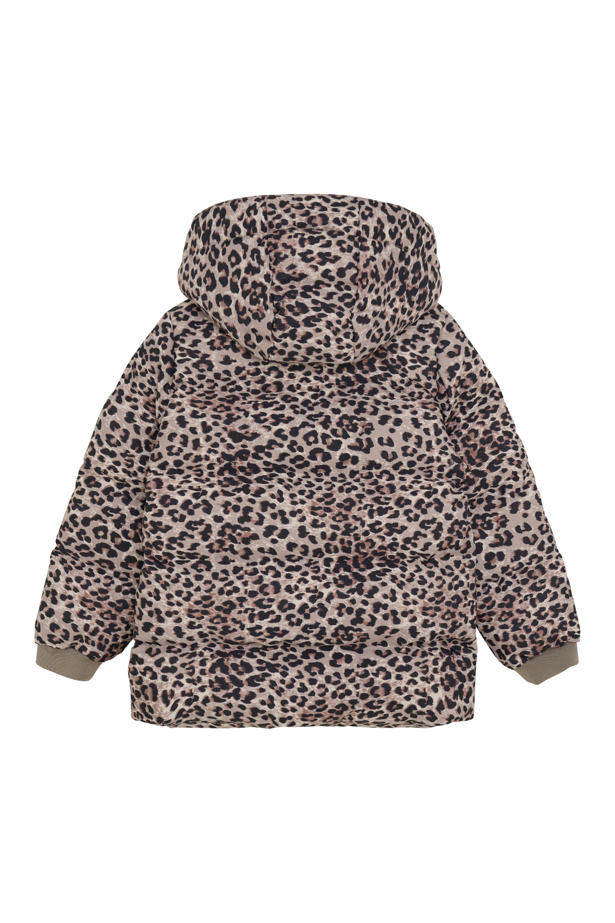 Steppjacke mit abnehmbarer Kapuze | Pine Bark