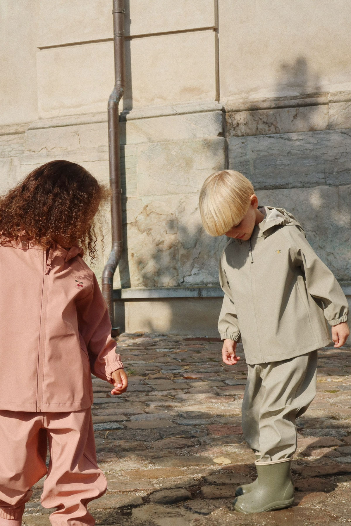 Regenset "Plainy" | Laurel Oak