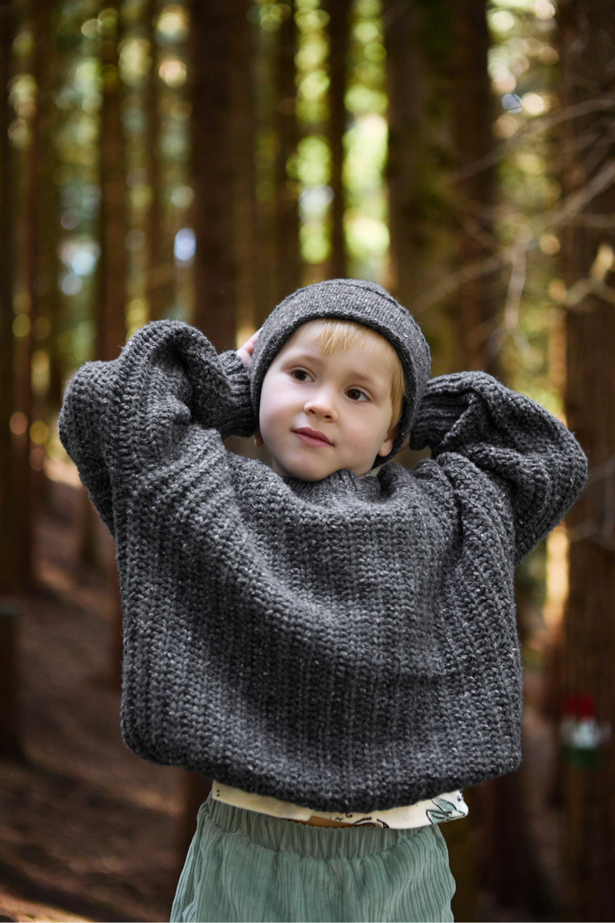 Strickpullover | Grafite