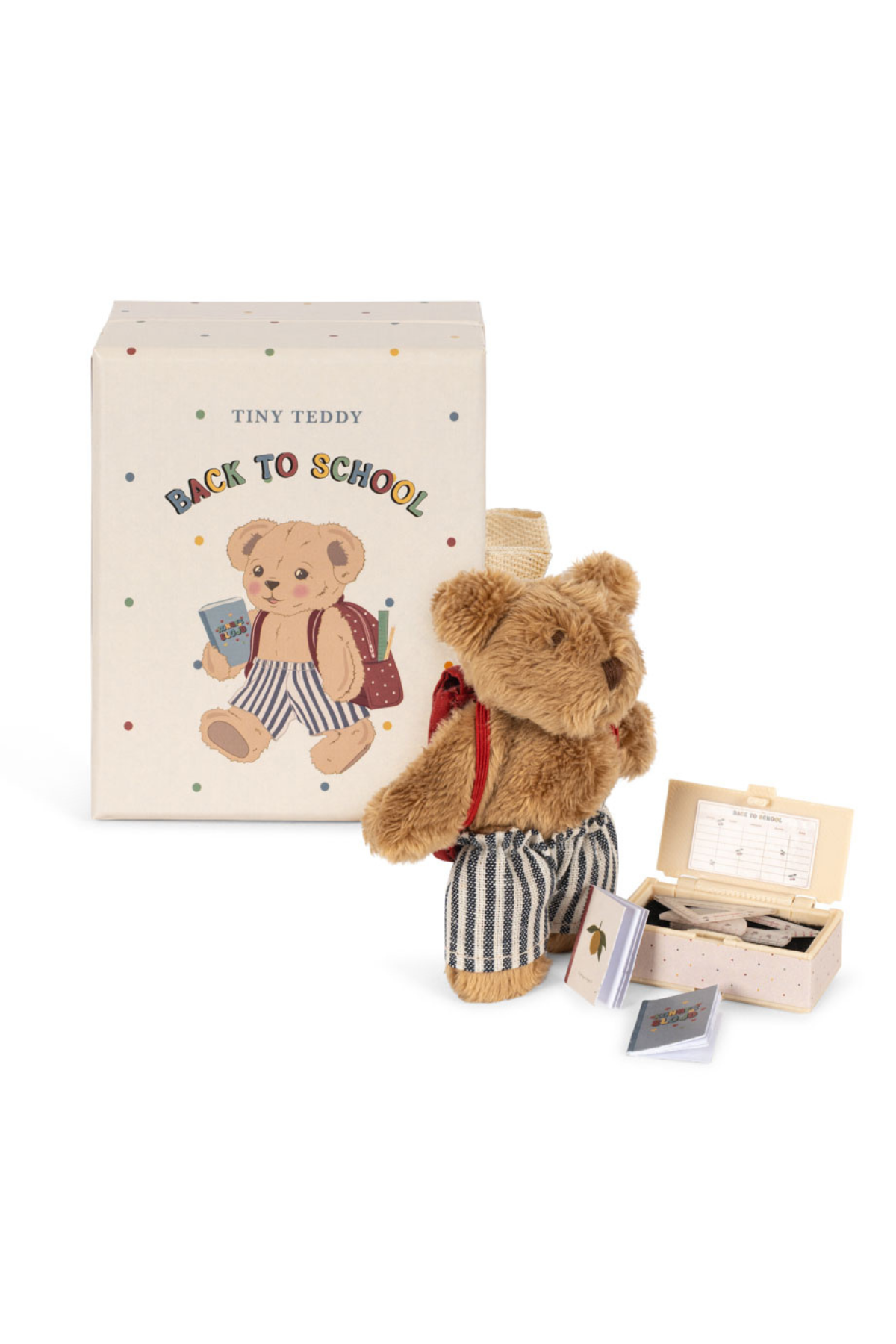 Tiny Teddy "Back to School" | Multi