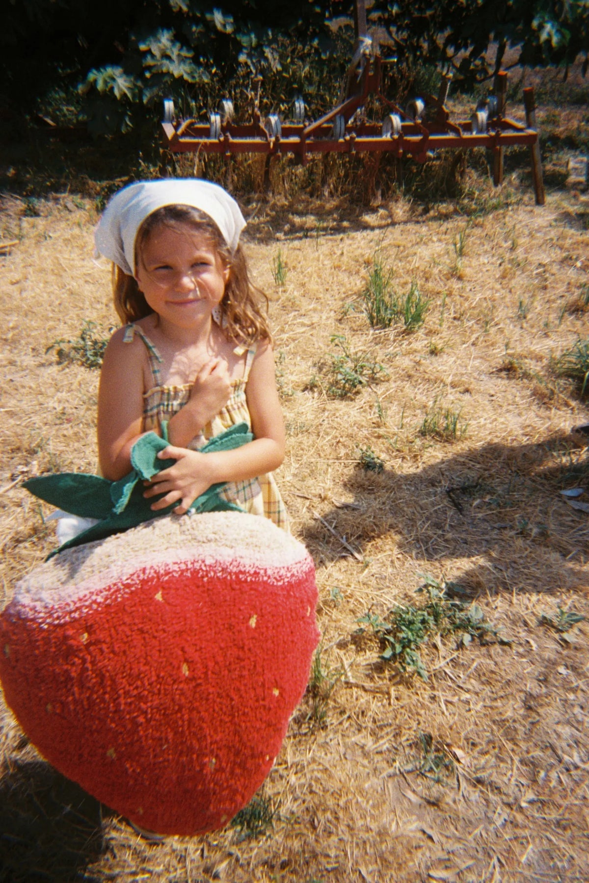Bodenkissen Strawberry
